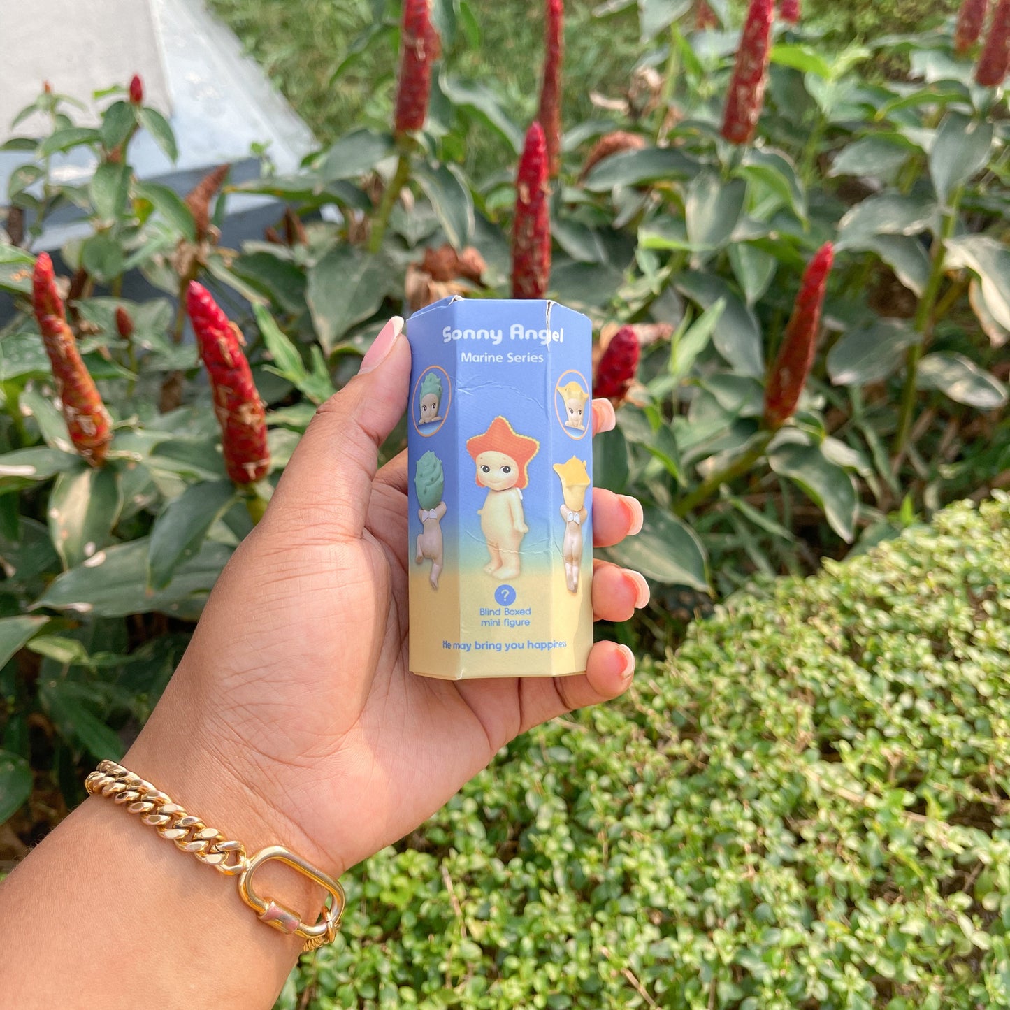 Sonny Angel Marine Series [Blind Box]