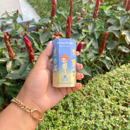 Sonny Angel Marine Series [Blind Box]