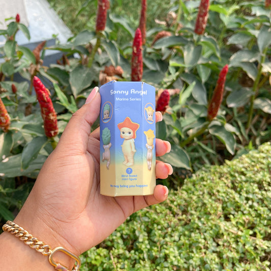 Sonny Angels Marine Series Desk Friend [Blind Box]