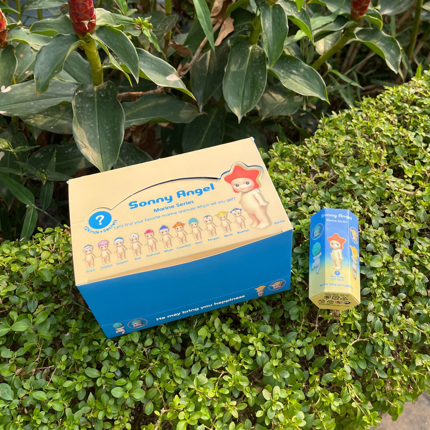 Sonny Angel Marine Series [Blind Box]